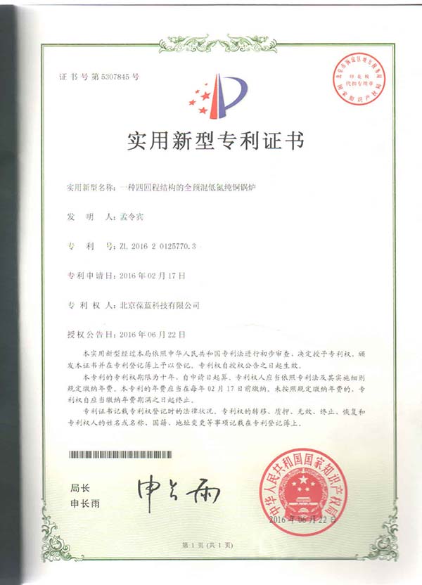 3133拉斯维加斯专低氮铜管锅炉换热部分 专利技术