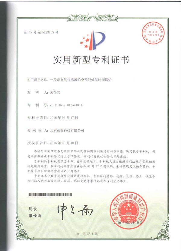 3133拉斯维加斯专低氮铜管锅炉 带监控系统 专利技术