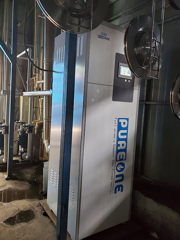 3133拉斯维加斯低氮纯铜燃气锅炉用于生产加热